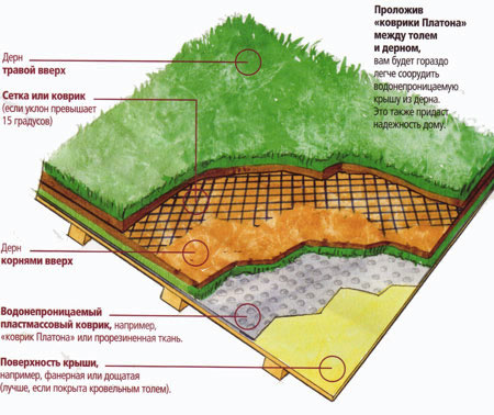 устройство газона на крыше