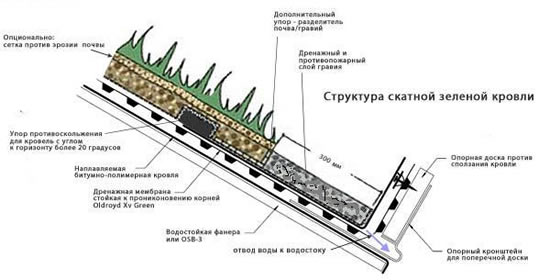 Структура скатной зеленой кровли